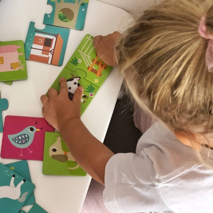 DJECO Puzzle Duo Habitat