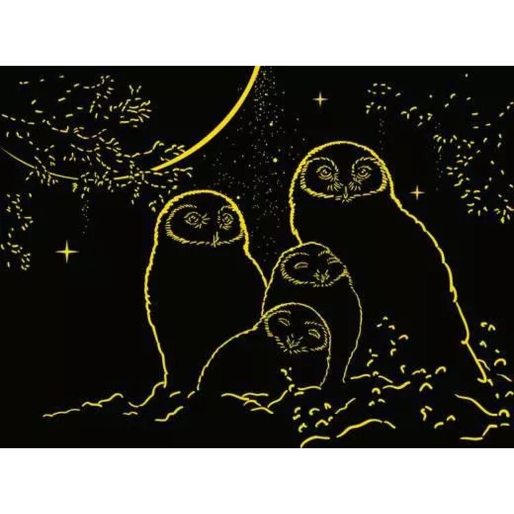Ravensburger Owls in the Moonlight | 500 pc