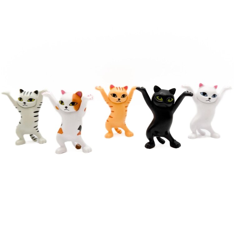 Gifts Amazing Dancing Cat