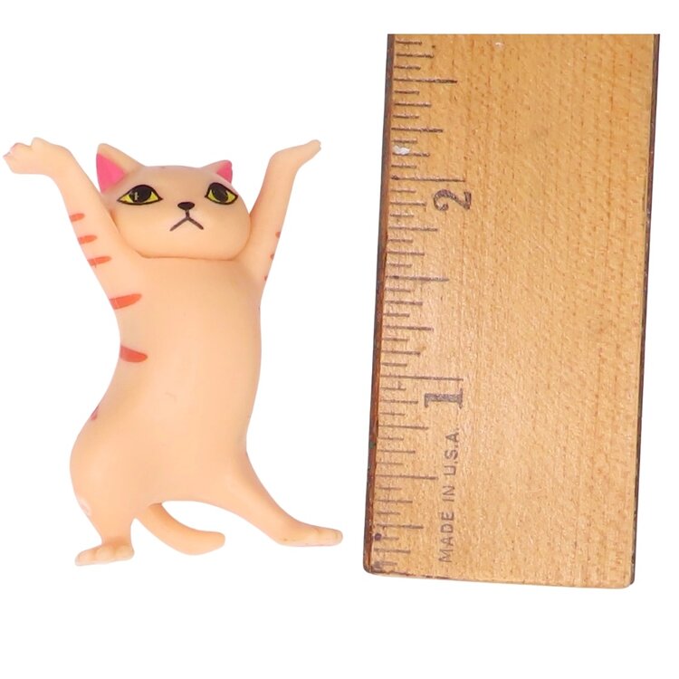 Gifts Amazing Dancing Cat