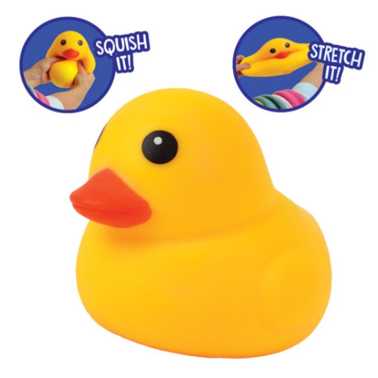 Play Visions My Pet Duck