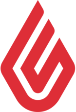 Service - Assisted Accounting Integration