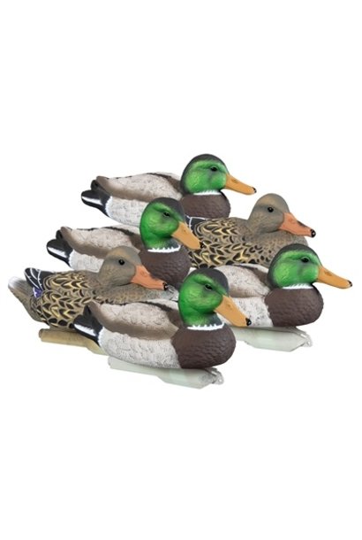 Higdon Standard Mallard 6pk