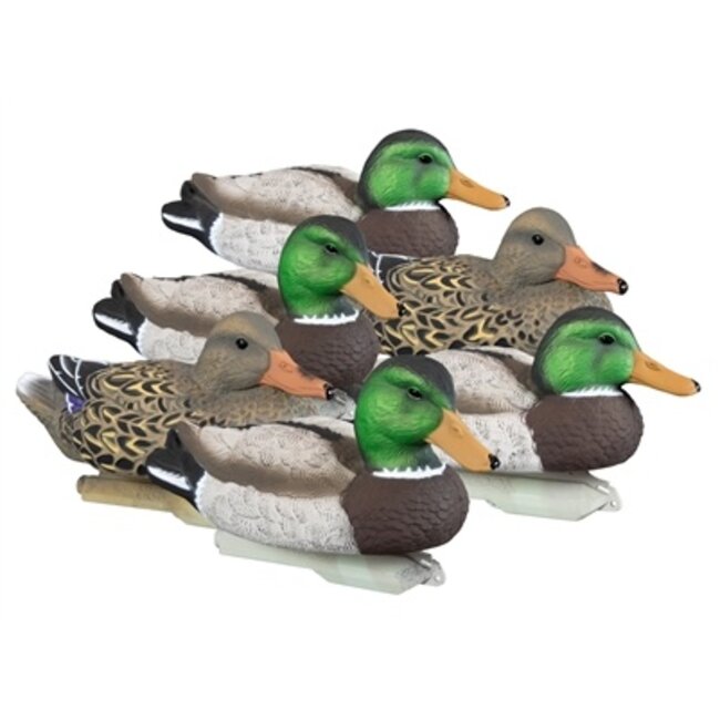 Higdon Standard Mallard 6pk