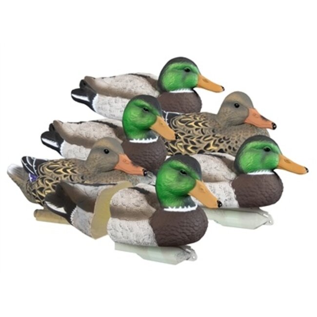 Higdon Standard Mallard Foam Filled 6pk