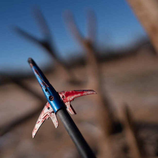 Swhacker Levi Morgan 2 Blade 100 Grain 2" Cut