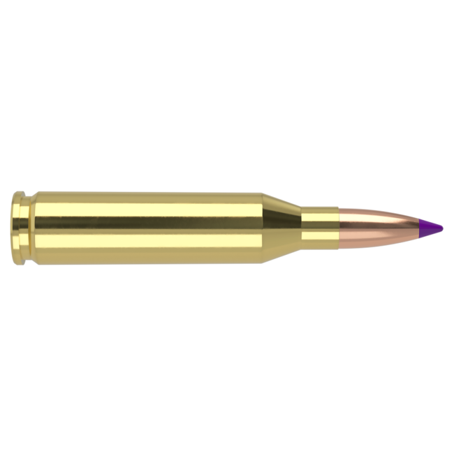 Nosler Ballistic Tip Ammo 243 Win 90gr