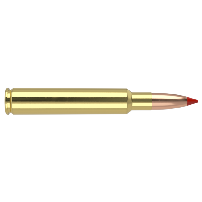Nosler Ballistic Tip Ammo 280 Ackley Improved 140 Grain