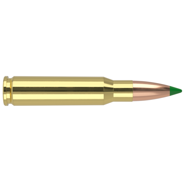 Nosler Ballistic Tip 308 Winchester 150gr 20rd