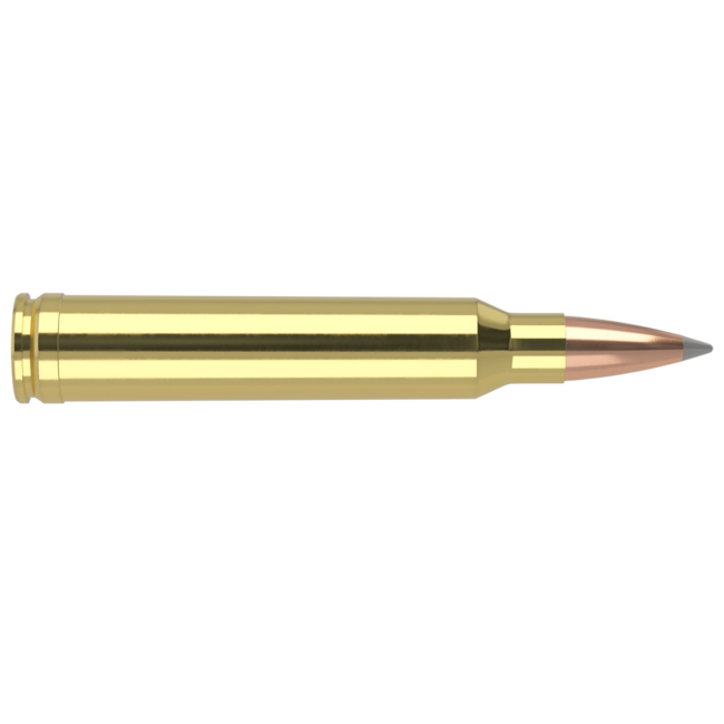 Nosler Trophy Grade 300 Win Mag 190gr Accubond LR