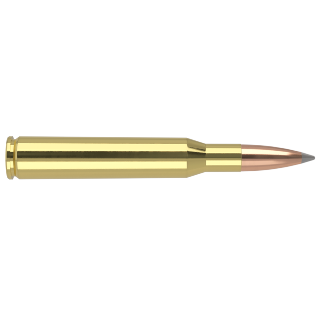 Nosler Trophy Grade Ammo 270 Win 150gr Accubond LR