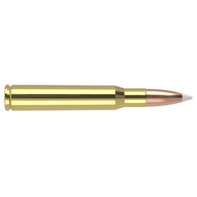 Nosler Trophy Grade Ammo 30-06 Sprg 180gr Accubond