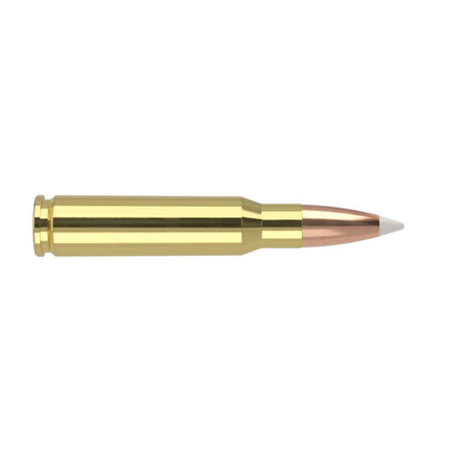 Nosler Trophy Grade Ammo 308 Win 165gr Accubond