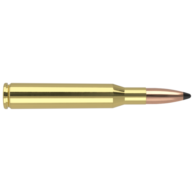 Nosler Trophy Grade 270 Winchester 130gr Partition 20rd
