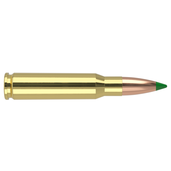 Nosler Ballistic Tip 308 Winchester 165gr 20rd