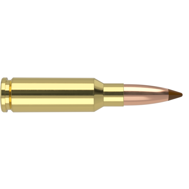 Nosler Ballistic Tip Ammo 6.5 Grendel 120gr 20rd