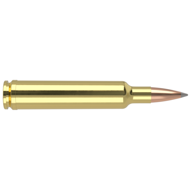 Nosler Trophy Grade 30-378 Wby Mag 210gr AccuBond LR 20rd
