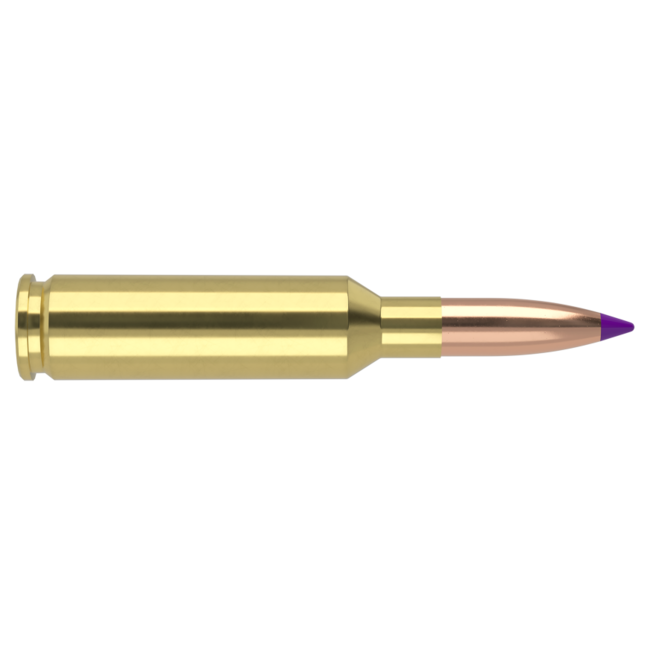 Nosler Ballistic Tip 6mm Creedmoor 95gr 20rd