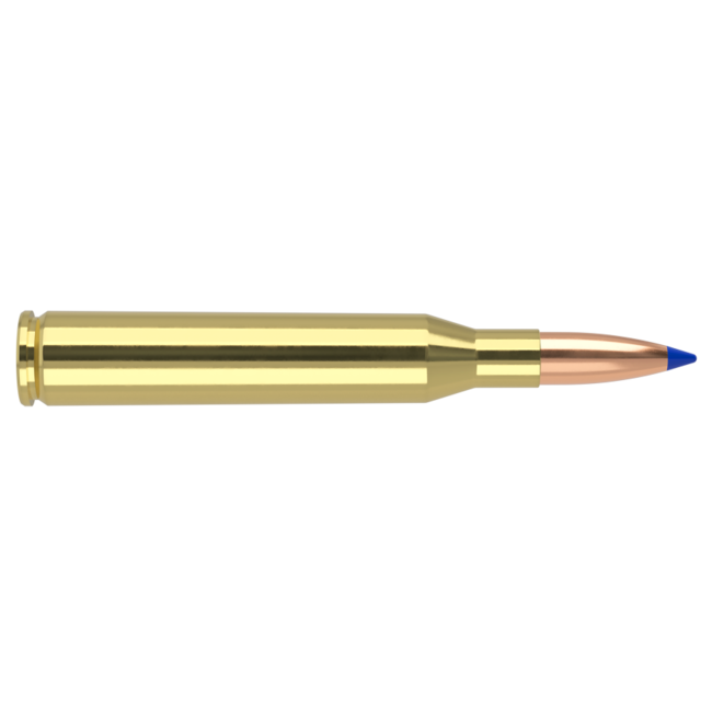 Nosler Ballistic Tip Ammo 25-06 Remington 115 Grain 20rd