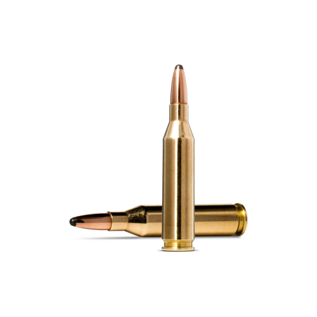 Norma Whitetail 243 Winchester 100gr PSP 20rd
