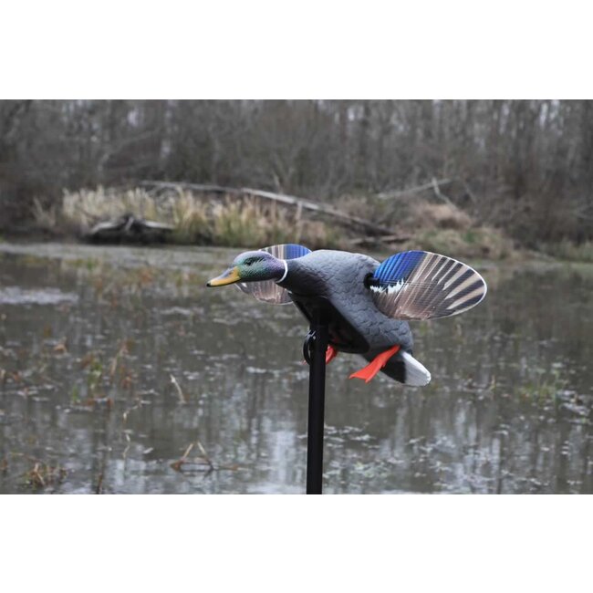 Mojo ES Mini Mallard Drake 3P