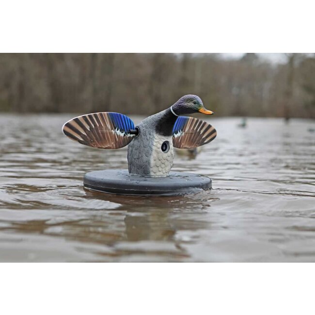 Mojo ES Floater Mallard W/Bar & Remote