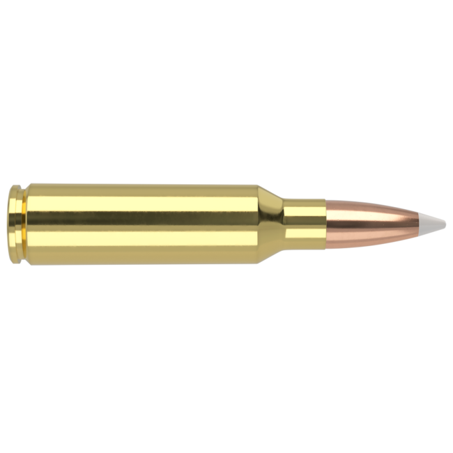 Nosler Trophy Grade 300 WSM 180gr Accubond 20rd