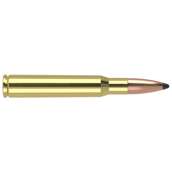 Nosler Trophy Grade 30-06 Springfield 150gr Patrition 20rd