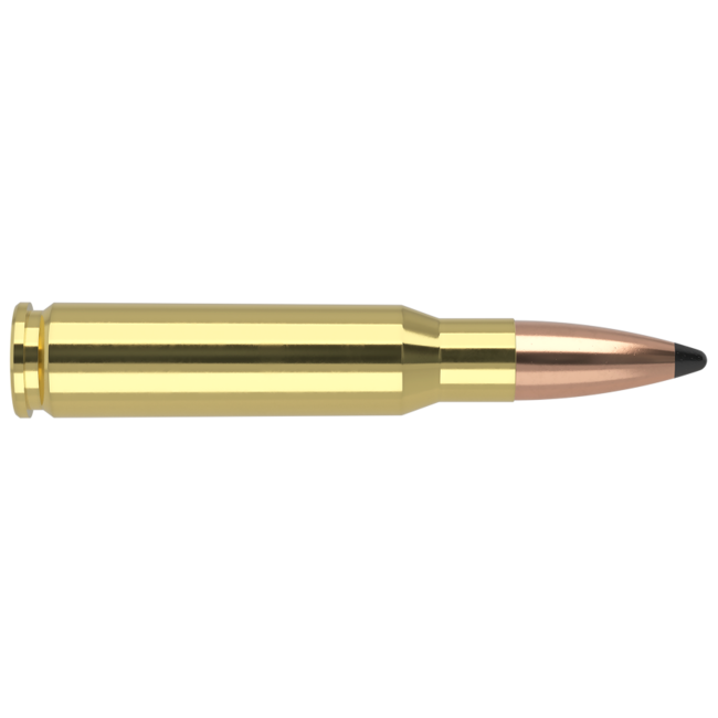 Nosler Trophy Grade 308 Winchester 165gr Partition 20rd