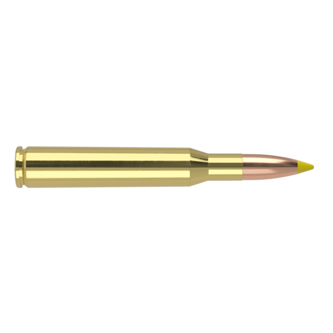 Nosler Ballistic Tip 270 Winchester 130gr 20rd