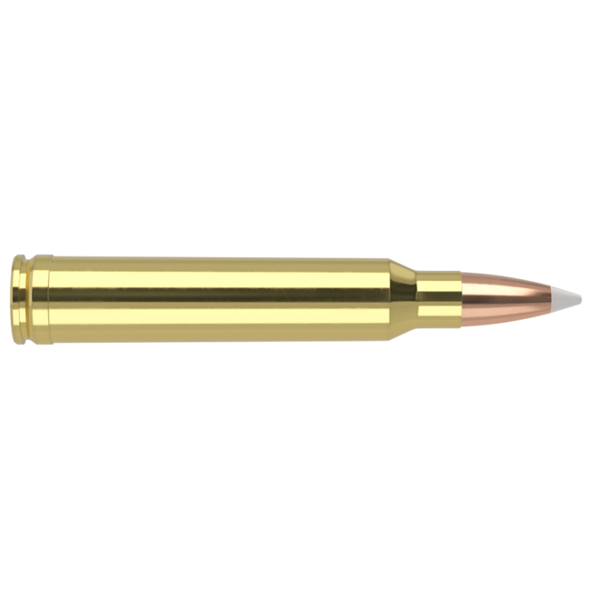 Nosler Trophy Grade 300 Win Mag 180gr AccuBond 20rd
