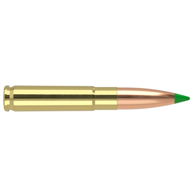 Nosler Ballistic Tip 300 Blackout 125gr 20rd