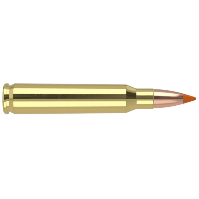 Nosler Ballistic Tip 223 Remington 55gr 20rd