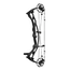 Hoyt RX-9