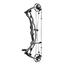 Hoyt RX-9