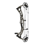 Hoyt AX-2