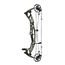 Hoyt AX-2