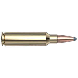 Hornady Hornady American Whitetail 300 WSM 165gr Interlock 20rds