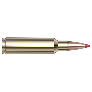 Hornady Hornady Precision Hunter 300 WSM 200 Grain ELD-X 20rds