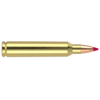 Nosler Nosler Ballistic Tip Ammo 204 Ruger 40 Grain 20rd