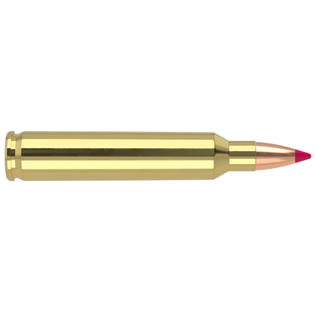 Nosler Ballistic Tip Ammo 204 Ruger 40 Grain 20rd