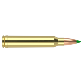 Nosler Nosler Ballistic Tip Ammo 300 Win Mag 180gr 20rd