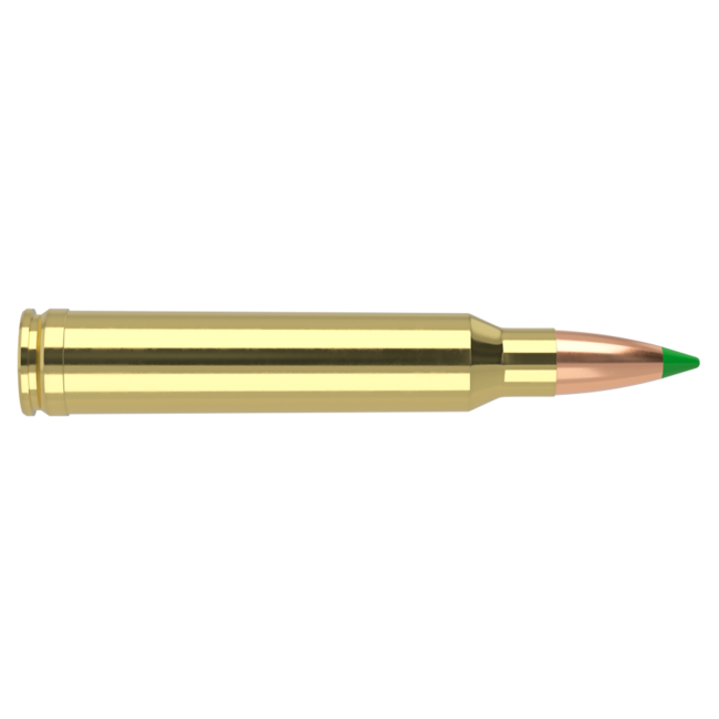 Nosler Ballistic Tip Ammo 300 Win Mag 180gr 20rd