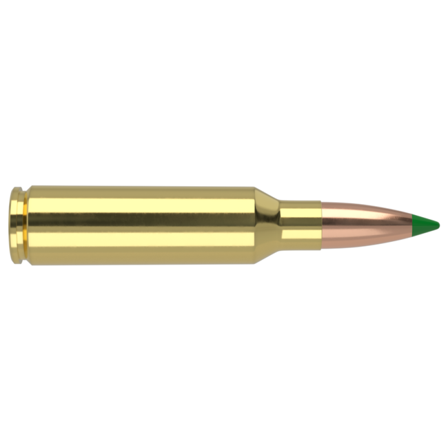 Nosler Ballistic Tip Ammo 300 WSM 165 Grain 20rds