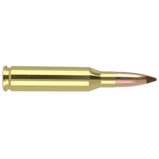 Nosler Nosler Ballistic Tip 260 Remington 140 Grain 20rds