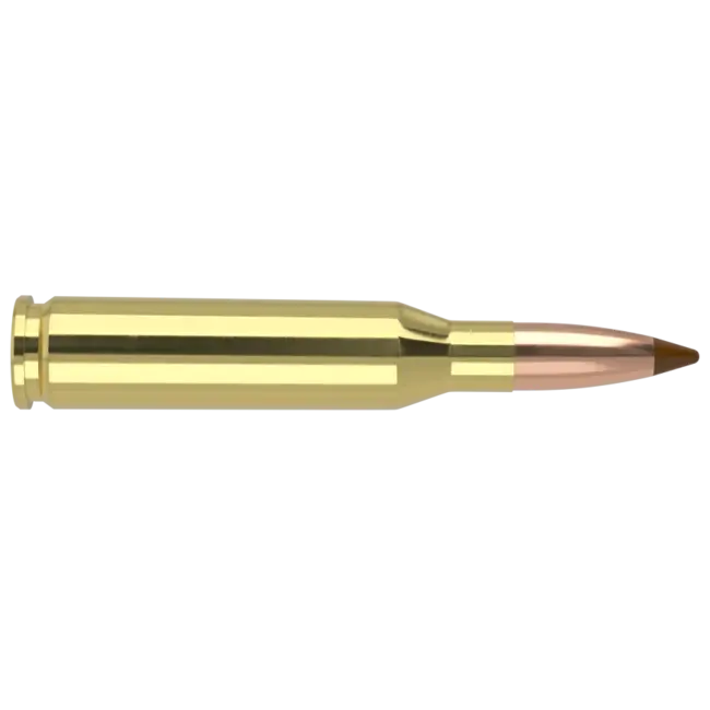 Nosler Ballistic Tip 260 Remington 140 Grain 20rds