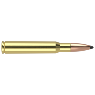 Nosler Nosler Trophy Grade 30-06 Springfield 165gr Patrition 20rd