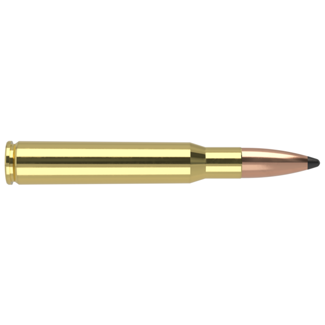 Nosler Trophy Grade 30-06 Springfield 165gr Patrition 20rd