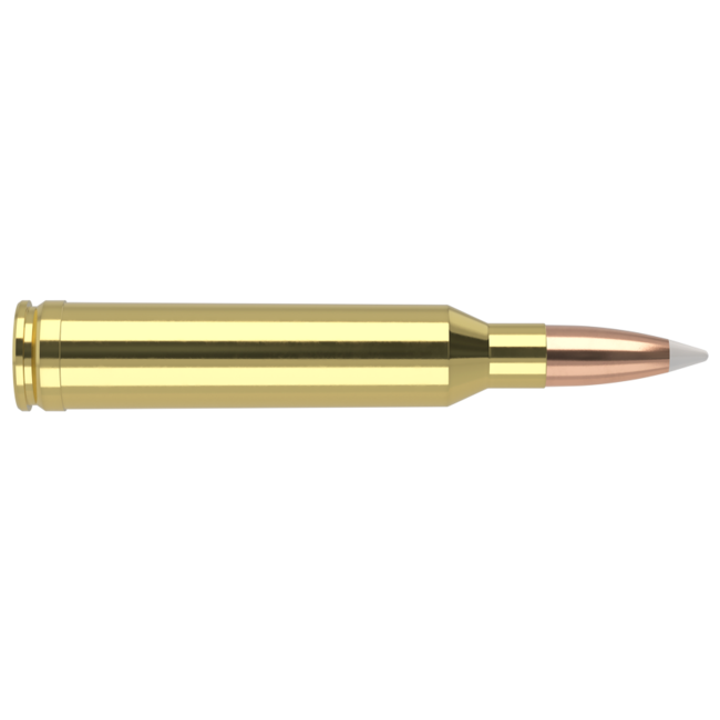 Nosler Trophy Grade 7mm Rem Mag 140gr AccuBond 20rd