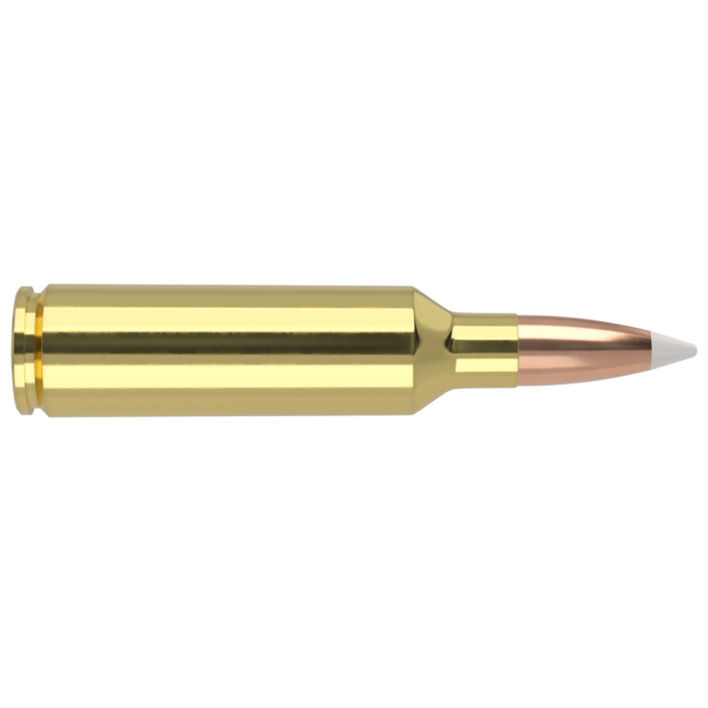 Nosler Trophy Grade Ammo 270 WSM 140gr AccuBond 20rd